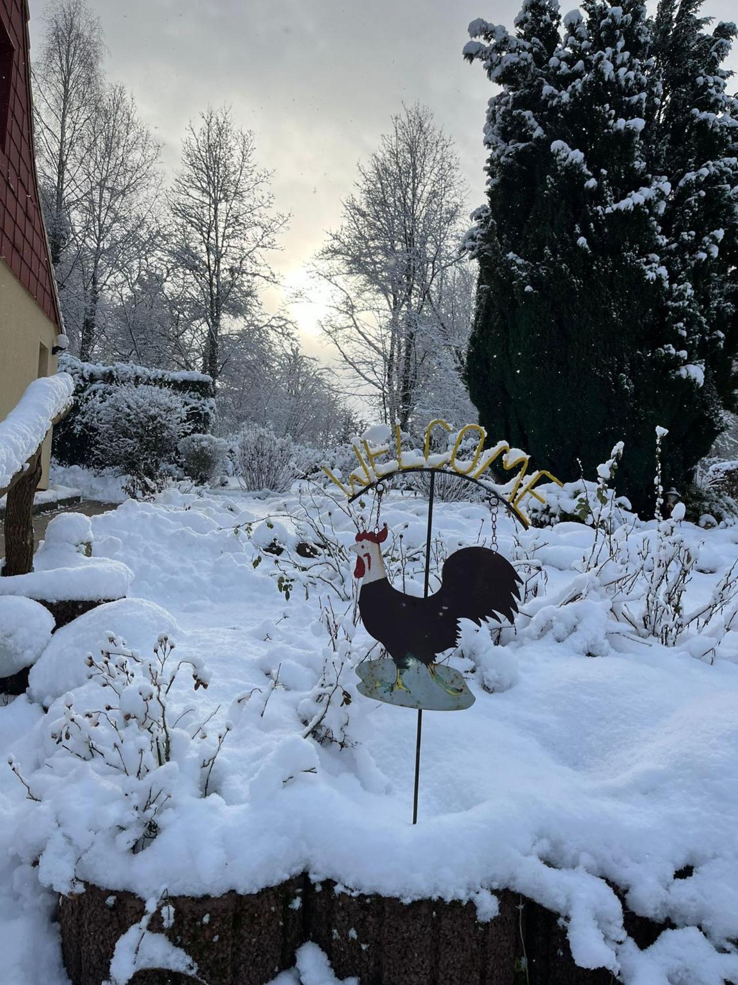 Pension Sander Bispingen Buitenkant foto